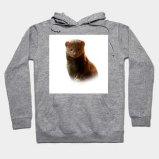 Dwarf mongoose Hoodie